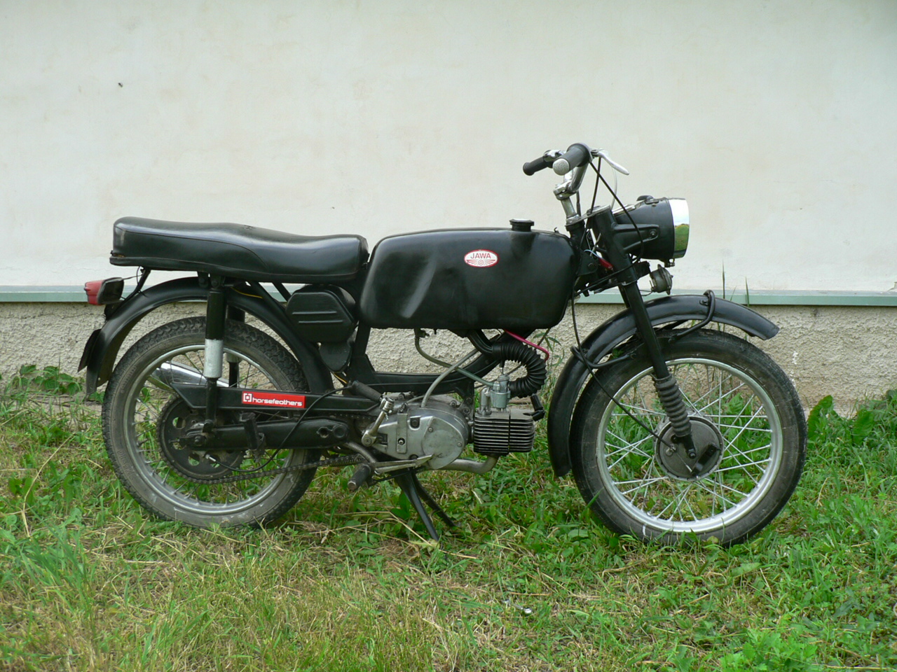 P1020013.JPG